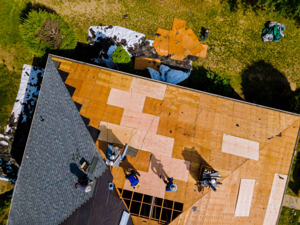 Best Roof Gutter Cleaning  in Pecos, TX